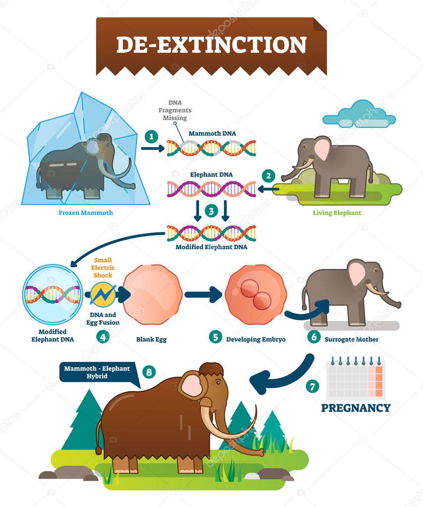 De-extinction infographic vector illustration. Process with animal hybrids.