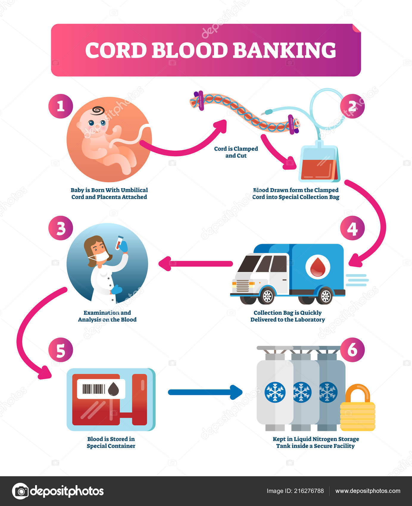 Blood Bank Procedure Flow Chart