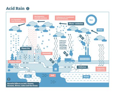 Asit yağmuru döngüsü, doğa ekosistem kirliliği Infographic