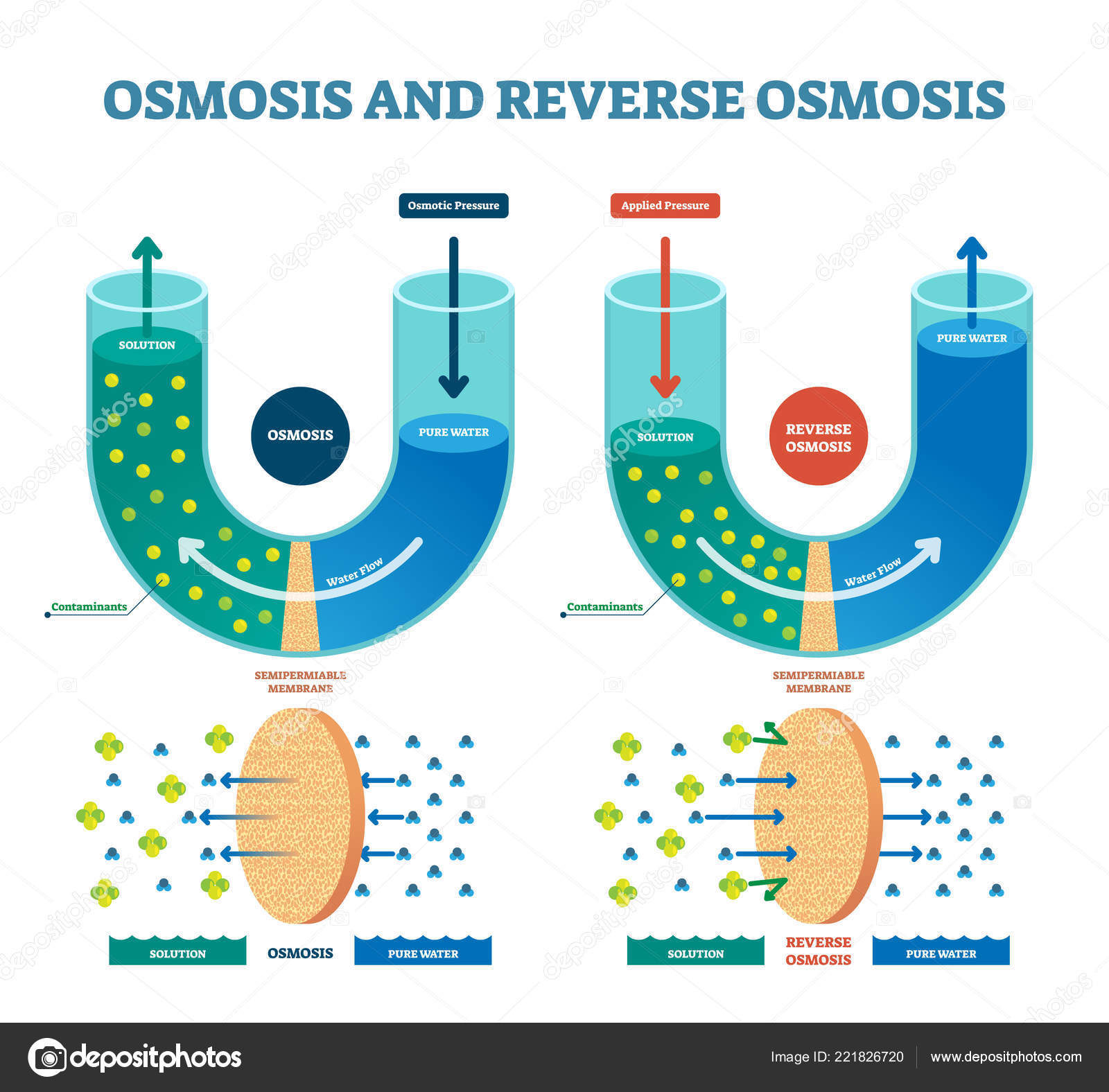 osmosis-reverse-vector-illustration-explained-process-with-solution-stock-illustration-by