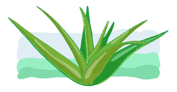 Eco φαρμακευτικό εργοστάσιο Aloe vera, υγιεινή και φυσική ομορφιά και προϊόντων υγείας — Διανυσματικό Αρχείο