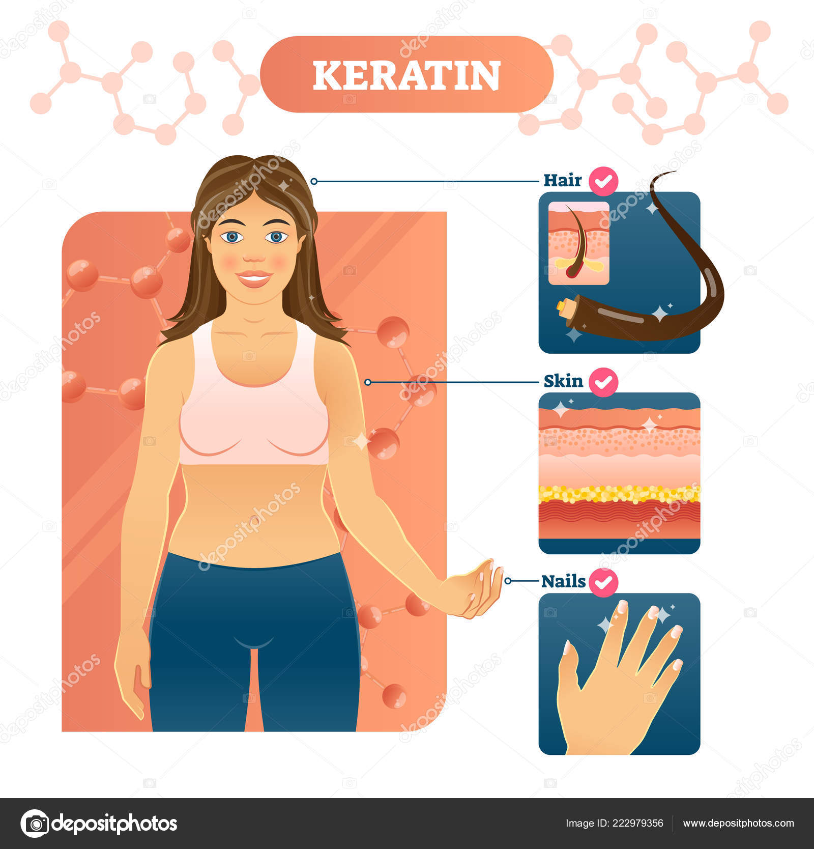 Ilustración vectorial Ejemplo de cabello, piel y uñas