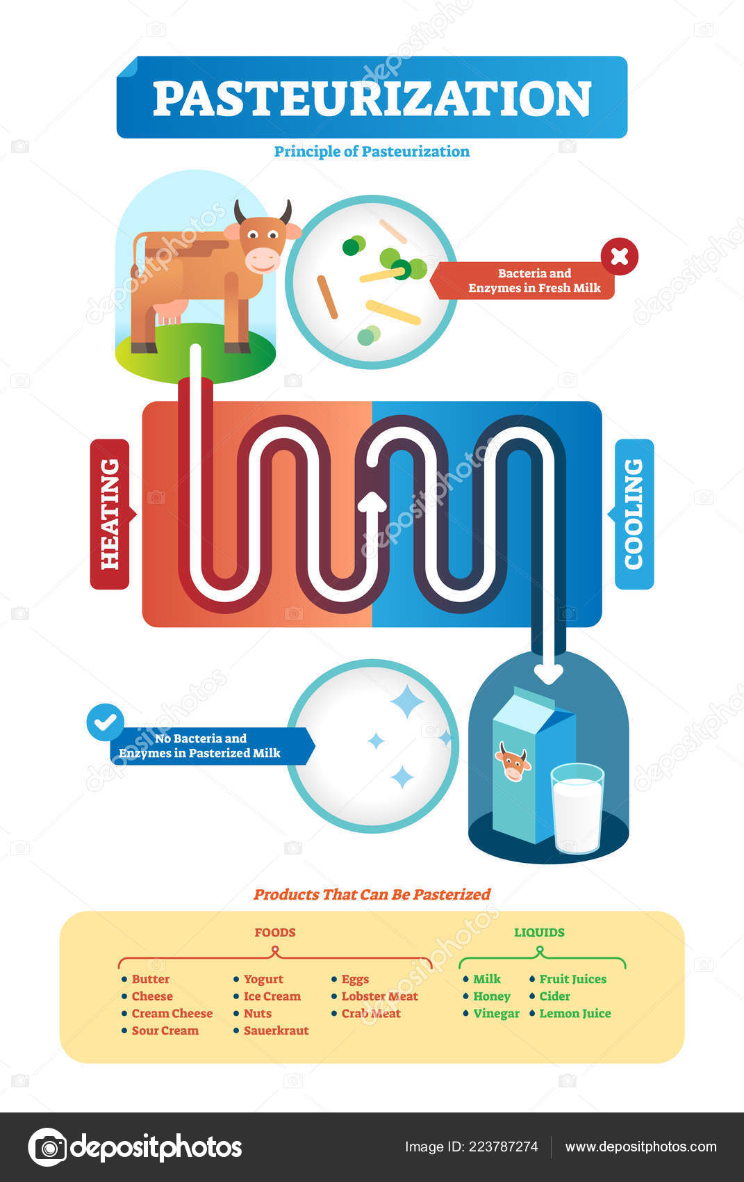 Pasteurizacion Imágenes Vectoriales, Gráfico Vectorial de Pasteurizacion |  Depositphotos