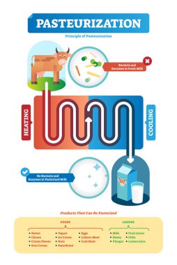 Pasteurization vector illustration. Process and products examples scheme. clipart