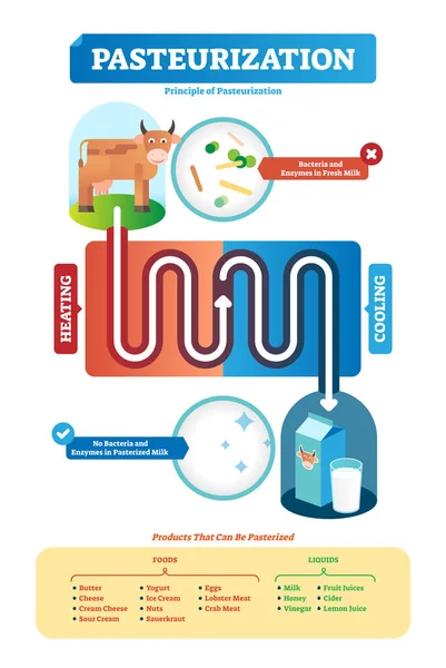 Pasteurization vector illustration. Process and products examples scheme. — Stock Vector