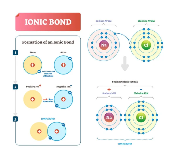 Ilustración de vector de enlace iónico. Diagrama etiquetado con explicación de la formación . — Archivo Imágenes Vectoriales