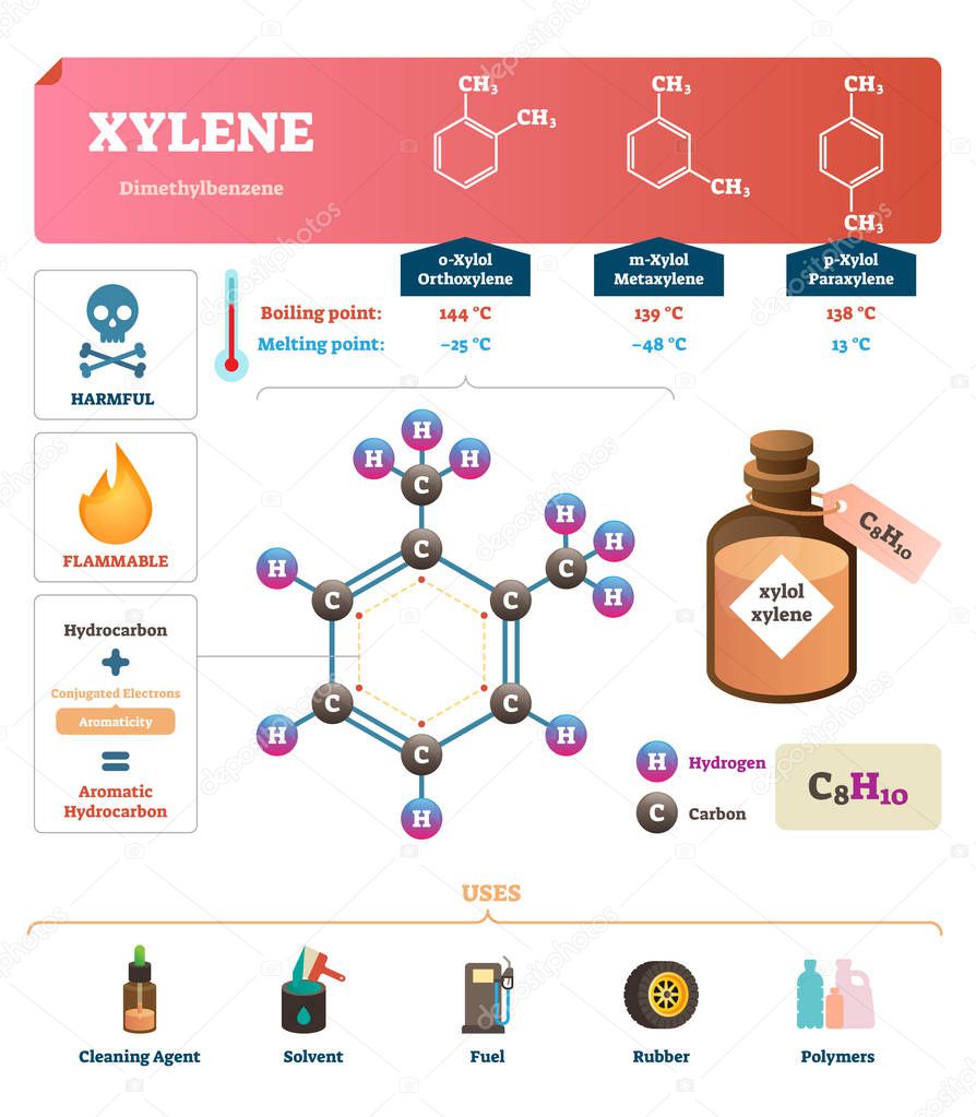 Xylene vector illustration. Labeled synthetic substance structure and uses.