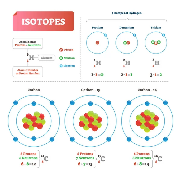 Illustrazione del vettore isotopico. Schema etichettato con neutroni atomici idrogeno . — Vettoriale Stock