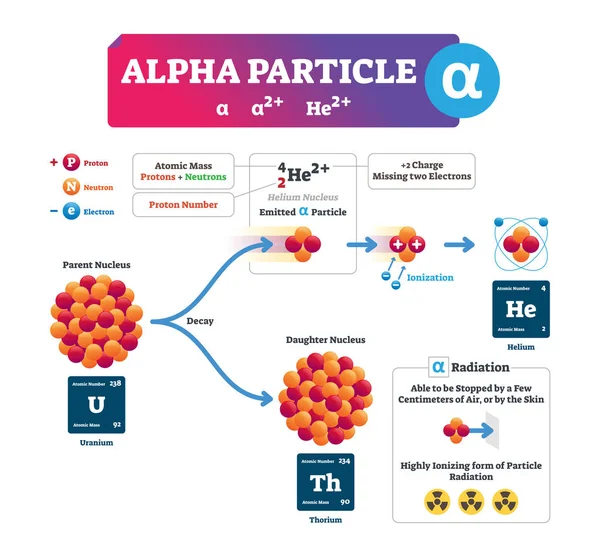 Alpha Particle Vector Illustration Labeled Atomic Ion Process Explanation Infographic — Stock Vector