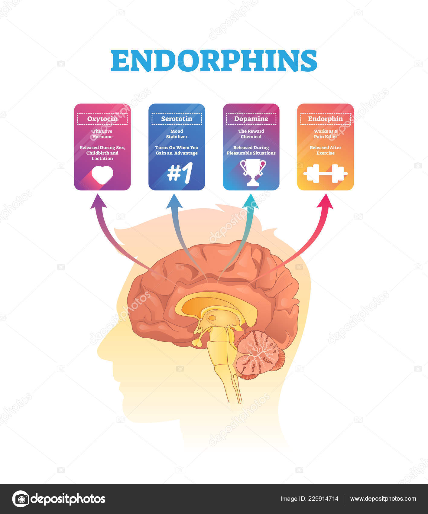 SCARICA DI ENDORFINE