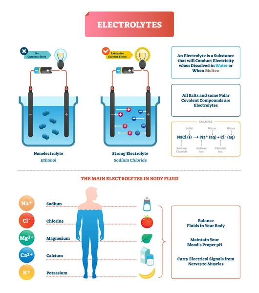 Elektrolyter testa vektorillustration. Kroppsvätska märkt exempel diagram. — Stock vektor