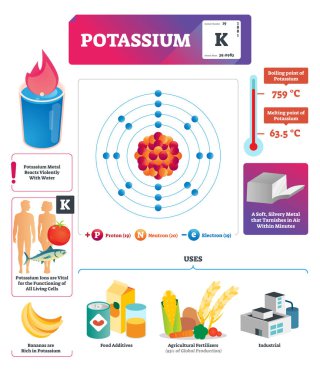 Potasyum vektör çizim. Kimyasal element özellikleri ve anlamları.