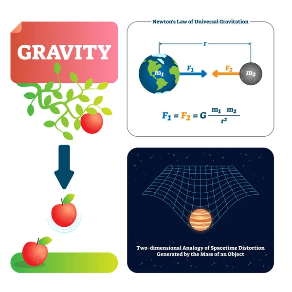 Gravitationsvektorillustration. Erläuterung der natürlichen Kraft von Objekten mit Masse. — Stockvektor