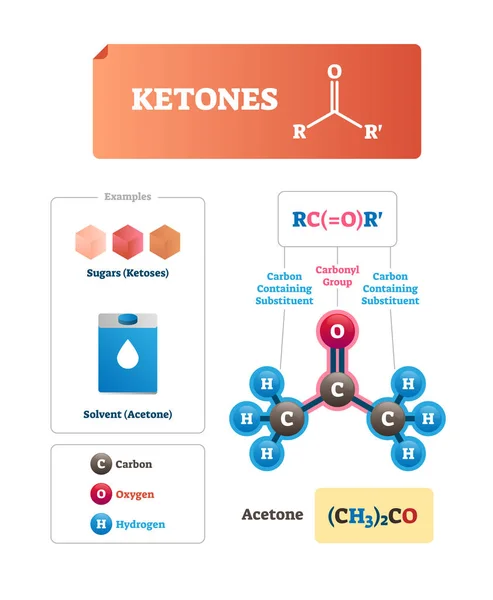 Ketones vector illustration. Sugars and solvent chemical organic compound. — Stock Vector