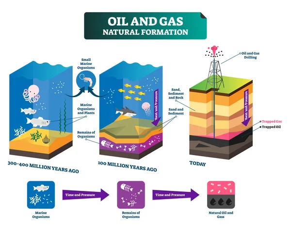 Petrolio e gas naturale formazione etichettata immagine vettoriale spiegare schema. — Vettoriale Stock