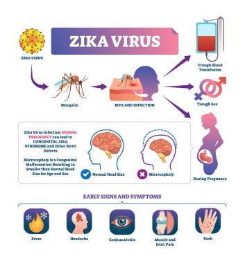 Zika virüs vektör çizim. Sivrisinek ısırığı enfeksiyon işareti düzeni etiketli