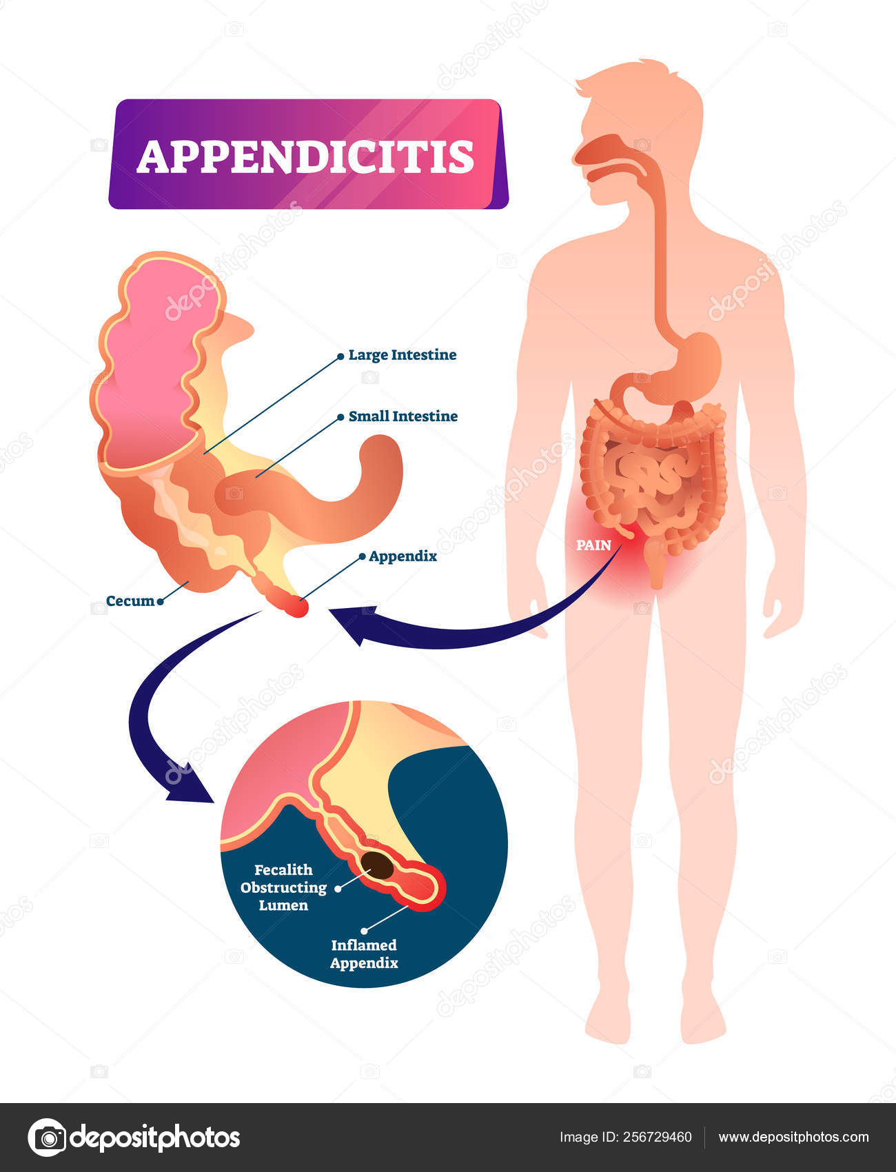 plano de ensino, image size:1300x1700