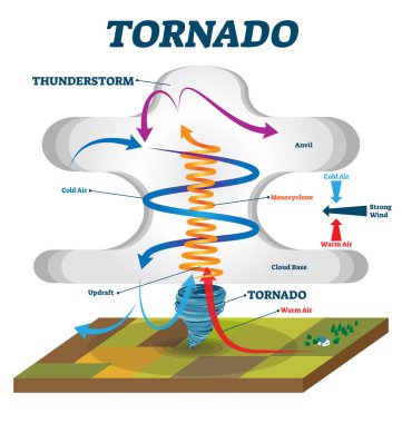 Tornado vector illustration. Labeled educational wind vortex explanation. clipart