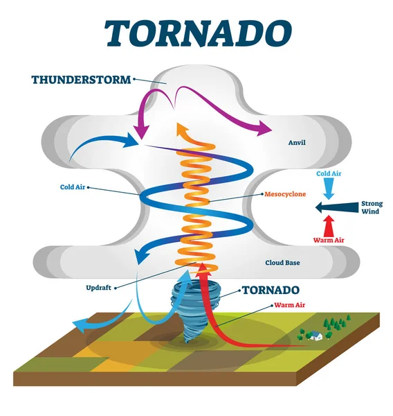 Tornado-Vektorillustration. Erklärung für Windwirbel im Bildungsbereich. — Stockvektor