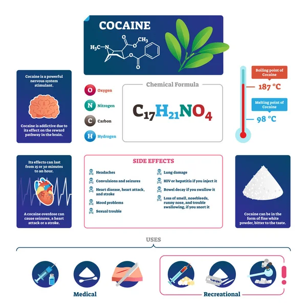 Cocaine vector illustration. Educational labeled drug description scheme. — Stock Vector