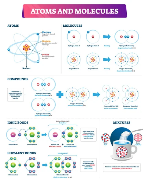 Atomos y moléculas ilustración vectorial. Diagrama de enlaces compuestos etiquetados . — Archivo Imágenes Vectoriales