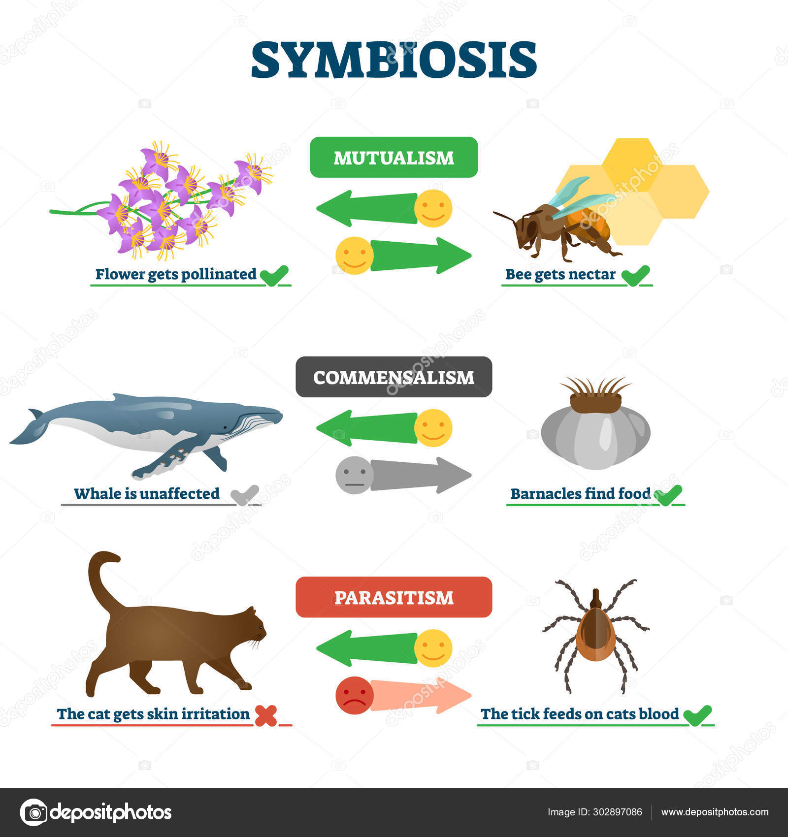 8. Living Masterpieces: The Symbiosis Of Plants And Ceramic Pottery