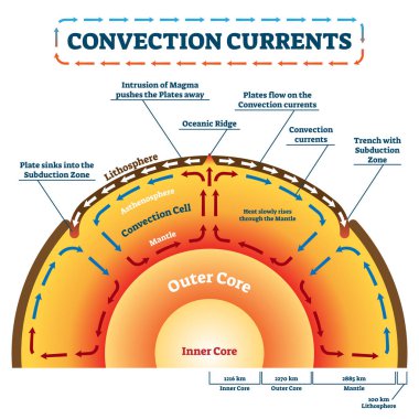 Convection Currents vector illustration. Labeled educational process scheme clipart