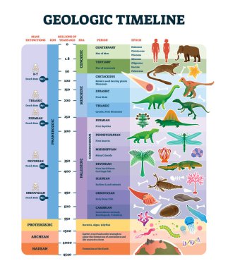 Geologic timeline scale vector illustration. Labeled earth history scheme. clipart
