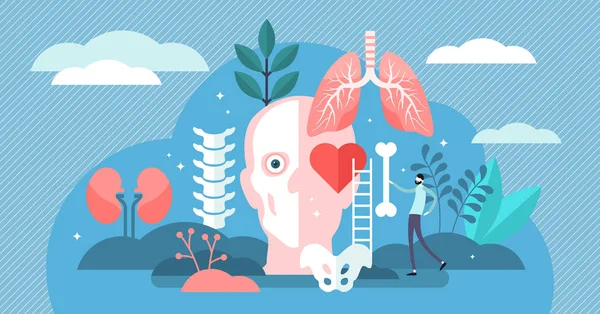 Anatomy vector illustration. Flat tiny body parts science persons concept. — Stock Illustration Anatomy vector illustration. Flat tiny body parts science persons concept. Royalty Free Stock Vectors