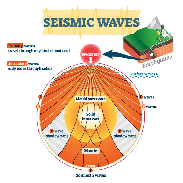 Seismic waves vector illustration. Labeled educational earthquake frequency — Stock Vector