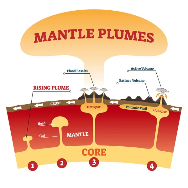 Mantel plym vektor illustration. Märkt förklaring magma utbrott system — Stock vektor