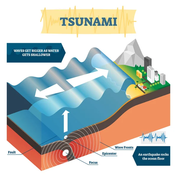 Ilustración vectorial de tsunami. Etiqueta educativa gran océano onda explicación — Vector de stock
