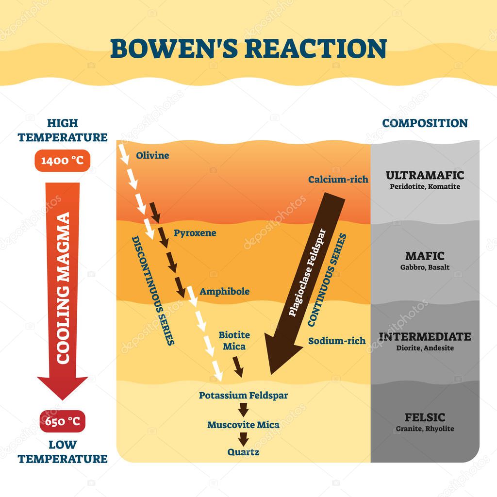 Bowens reaction vector illustration. Labeled petrology work explanation.