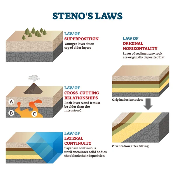Stenos laws vector illustration. Labeled rocks classification infographics — Stock Vector