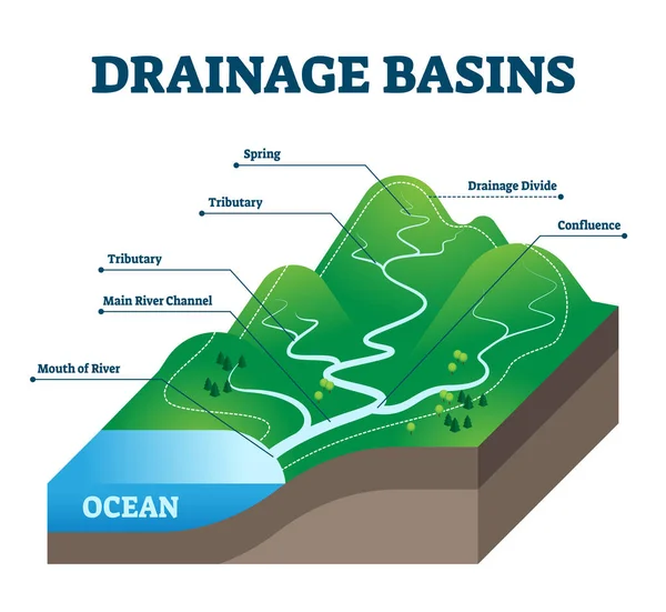 Drainage bekkens vector illustratie. Gelabeld educatief regenwaterprogramma. — Stockvector