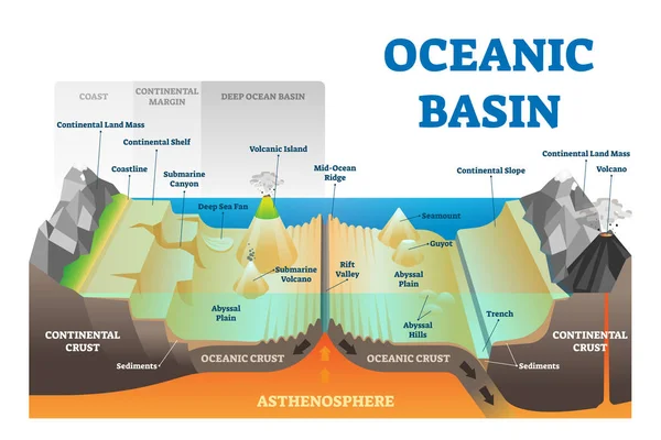 Ocean basin structure vector illustration. Labeled underwater level scheme. — Stock Vector