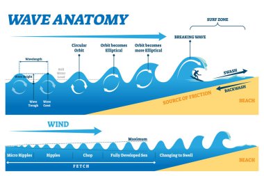 Wave anatomy vector illustration. Water movement physics explanation scheme clipart