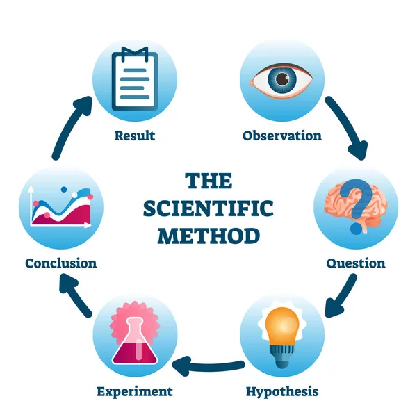 The scientific method vector illustration. Labeled process methodology scheme — Stock Vector