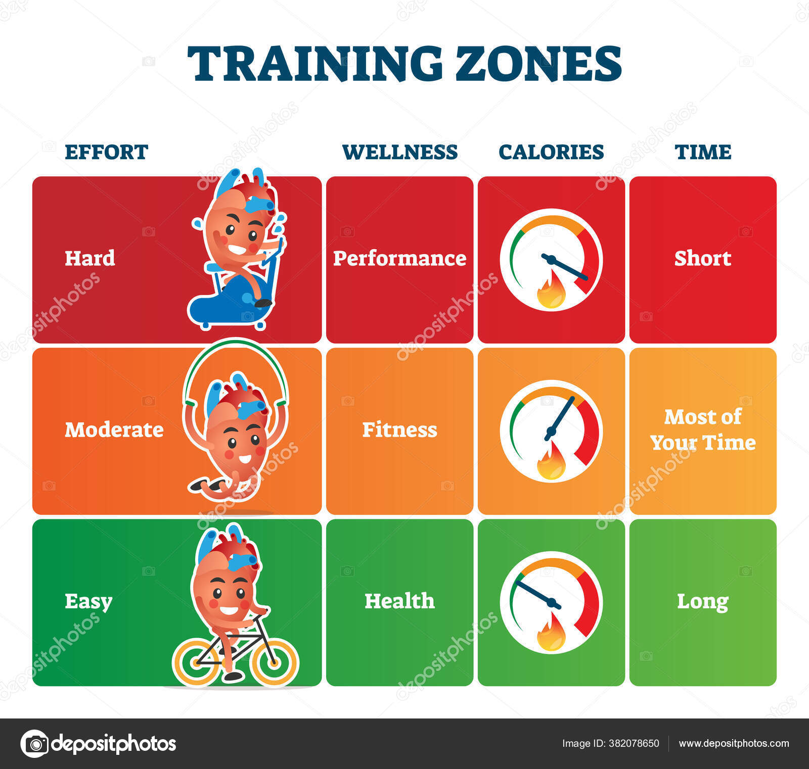 Zonas de entrenamiento ilustración vectorial. Etiquetado saludable