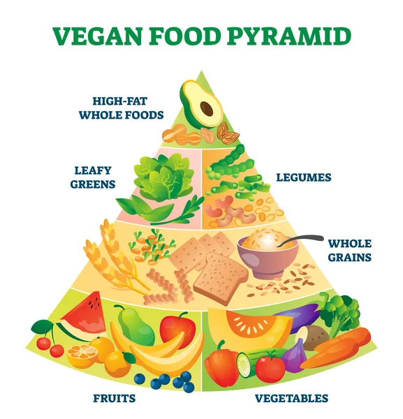 Vegan food pyramid vector illustration. Healthy vegetarian eating scheme. — Stock Vector