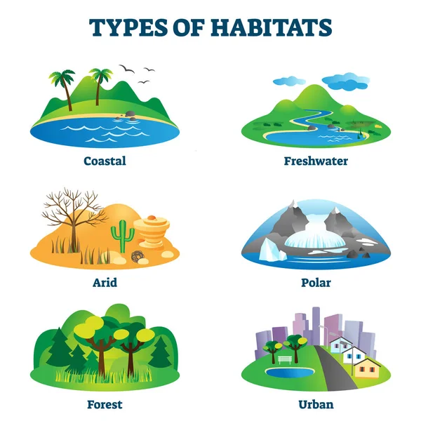 Tipos de habitats ilustração vetorial. Rotulado várias espécies exemplos de casa —  Vetores de Stock