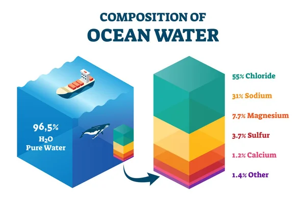 Samenstelling van oceaan water vector illustratie. Geëtiketteerde structurele regeling. — Stockvector