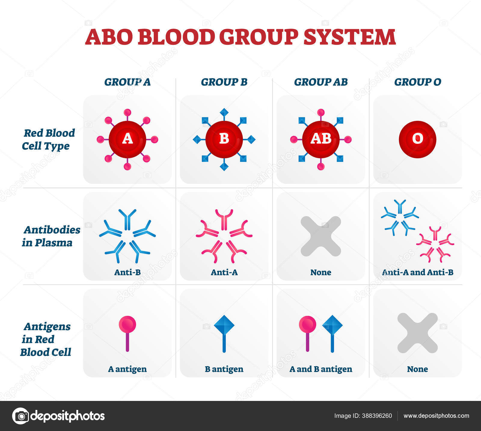 grupo-sangu-neo-abo-tipos-vector-gr-fico-de-ilustraci-n-stock-vector-by