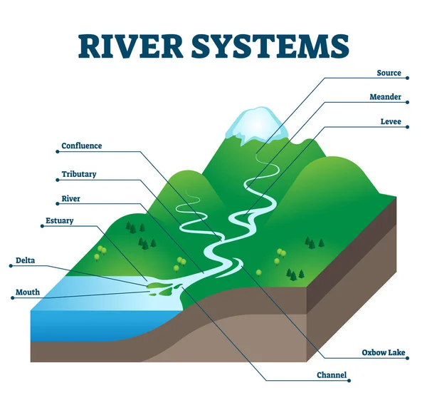 Riviersystemen en drainagebekken educatieve structuur vector illustratie — Stockvector