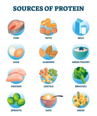 Sağlıklı ve yüksek besin değeri olan diyet ürünleri koleksiyonu olarak protein kaynakları