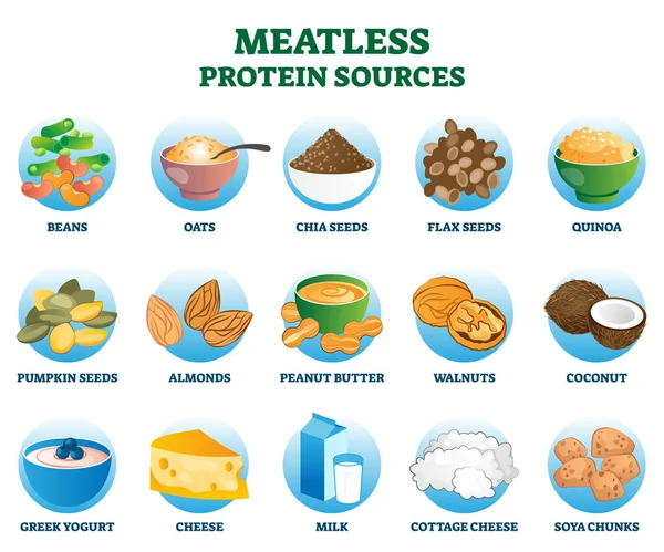 Fleischlose Proteinquellen als vegetarischer Ersatz und Ersatznahrung — Stockvektor