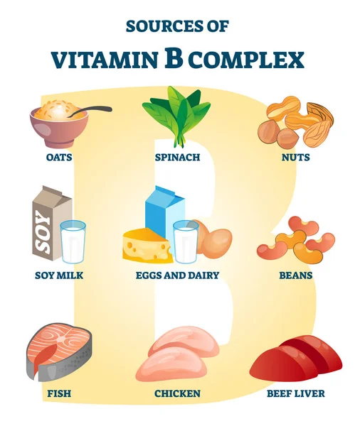 Fonte de complexo vitamínico B com lista de exemplos de nutrientes alimentares saudáveis rotulados —  Vetores de Stock