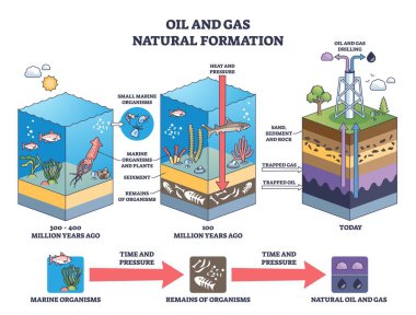 Petrol ve gaz doğal oluşumu deniz canlılarından kapana kısılmış kaynaklar ve sondaj, renklendirme katmanları, basınç ve kalıntılara adım adım gösterilmektedir. Özet diyagramı