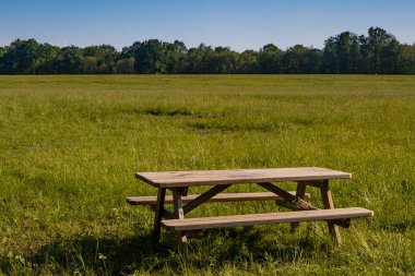 Güneşli parkta piknik masası