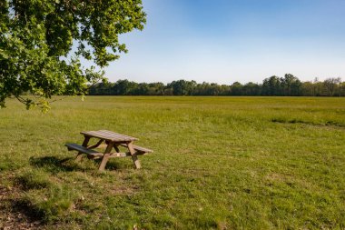 Güneşli parkta piknik masası